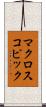 マクロスコピック Scroll