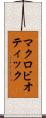マクロビオティック Scroll