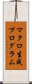 マクロ生成プログラム Scroll