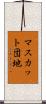 マスカット団地 Scroll