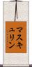 マスキュリン Scroll