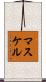 マスケル Scroll