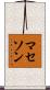 マセソン Scroll