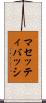 マセッティバッシ Scroll