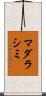 マダラシミ Scroll