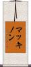 MacKinnon Scroll