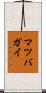 マツバガイ Scroll