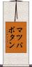 マツバボタン Scroll