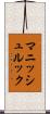 マニッシュルック Scroll