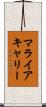 マライアキャリー Scroll