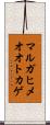 マルガヒメオオトカゲ Scroll
