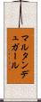 マルタン・デュ・ガール Scroll