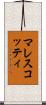 マレスコッティ Scroll