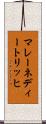 マレーネディートリッヒ Scroll