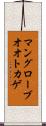 マングローブオオトカゲ Scroll