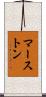 マーストン Scroll