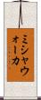 ミシャウォーカ Scroll