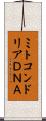 ミトコンドリアＤＮＡ Scroll