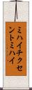 ミハイ・チクセントミハイ Scroll