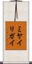 ミヤイリガイ Scroll