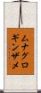 ムナグロギンザメ Scroll