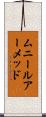 Muneer Ahmed Scroll