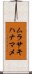 ムラサキハナマメ Scroll