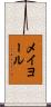 メイヨール Scroll