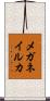 メガネイルカ Scroll