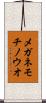 メガネモチノウオ Scroll