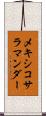 メキシコ・サラマンダー Scroll