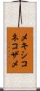 メキシコネコザメ Scroll