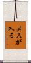 メスが入る Scroll