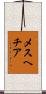 メスヘチア Scroll