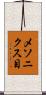 メソニクス目 Scroll