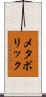 メタボリック Scroll