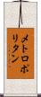 メトロポリタン Scroll