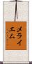 Meryem Scroll
