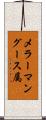 メラーマングース属 Scroll