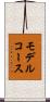 モデル・コース Scroll