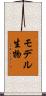 モデル生物 Scroll