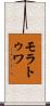 モラトゥワ Scroll