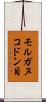 モルガヌコドン目 Scroll