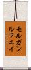 モルガンルフェイ Scroll