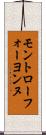 モントローフォーヨンヌ Scroll