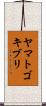 ヤマトゴキブリ Scroll