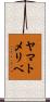 ヤマトメリベ Scroll