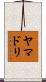 ヤマドリ Scroll