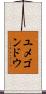 ユメゴンドウ Scroll