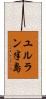 ユルラン半島 Scroll